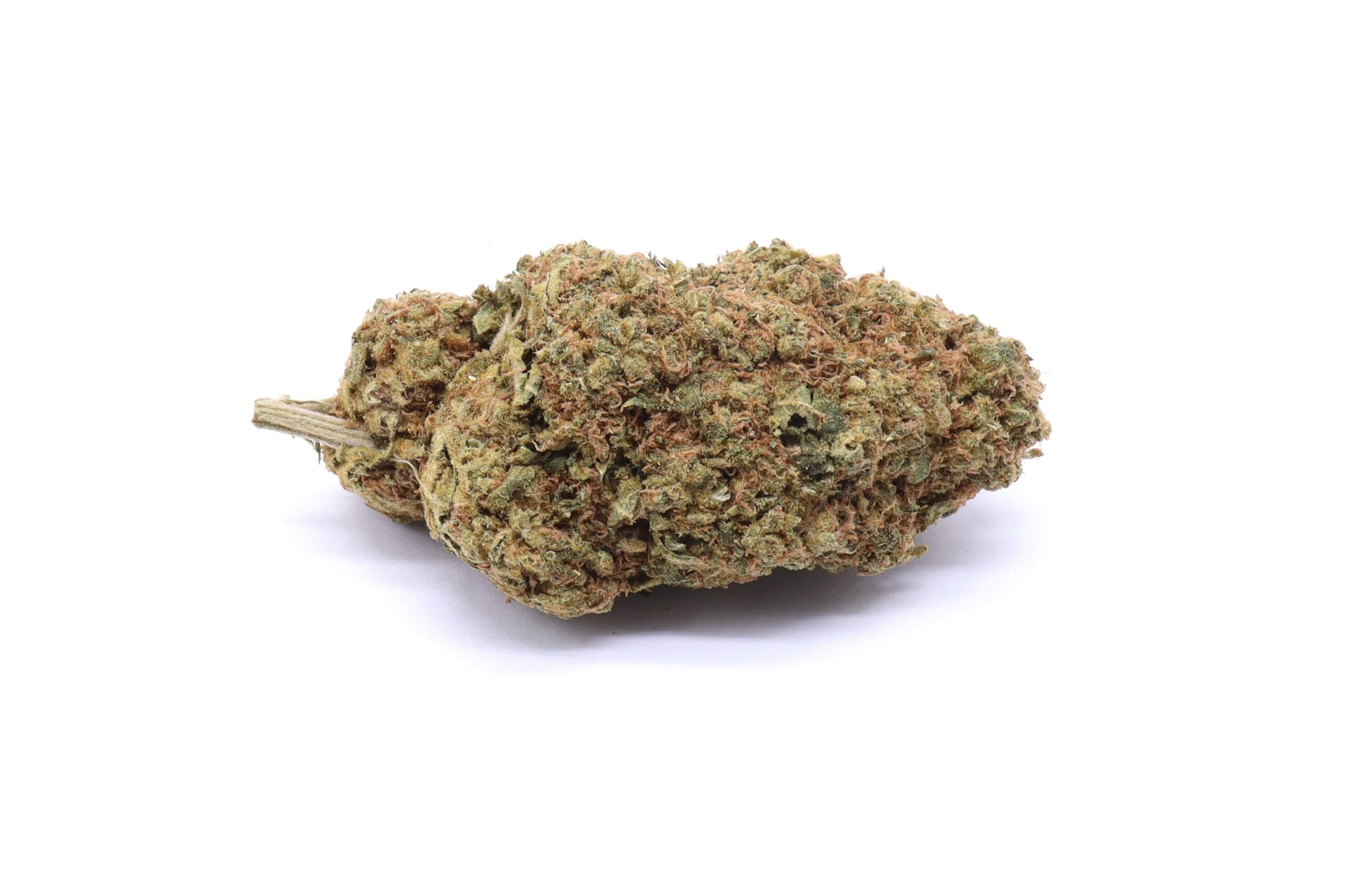 Cheetah Piss Strain Flower - Hybrid